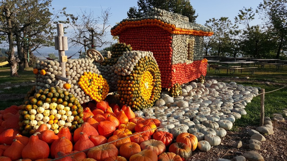 Pumpkin art at Jucker's farm. A swiss fall tradition!